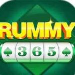 Rummy 365